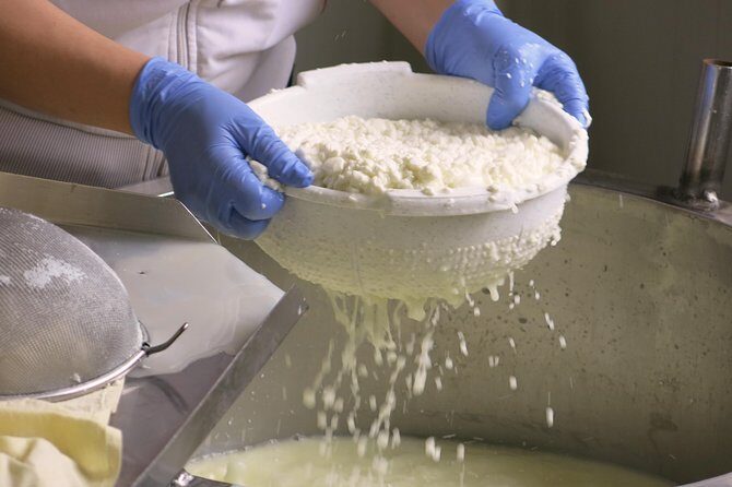 Village Venture: Troodos Mountains Food & Wine Small Group Day Tour - The Guide and Group Dynamics