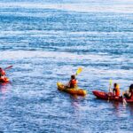 Villajoyosa: Excursión guiada en kayak con snorkel - The Pros and Cons: What to Keep in Mind