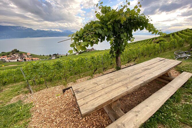 Vine Stories: Lavaux & Lutry wine walk - Who Will Love This Tour?