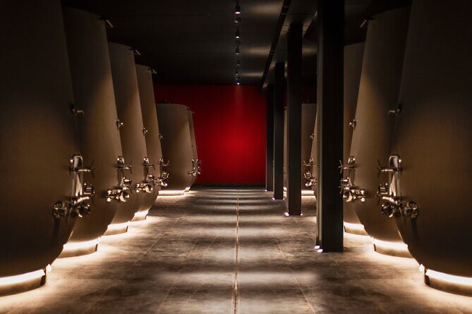 Vineyard Tour with Light Lunch in Valpolicella - Authentic Insights from Reviewers