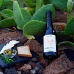 Vineyard tour with wine tasting and local products - FAQ