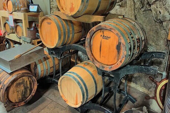 Vineyard Tour with Wine Tasting in Cinque Terre - Who Should Consider This Tour?