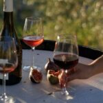 Vineyard Tour with Wine Tasting within Nice city borders - Why This Tour Works for Travelers