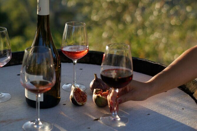 Vineyard Tour with Wine Tasting within Nice city borders - Why This Tour Works for Travelers