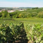 Vineyard Walking Tour & 5 Champagnes Tasting - Final Thoughts: Is It Worth It?