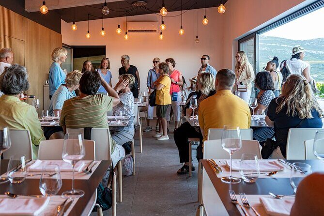 Vineyard Wine Tasting Experience with a Sea view from Split - The Value of the Experience