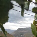 Vinho Verde 2 Wineries + Cultural Guimarães - Private/from Porto - Final Thoughts on Value
