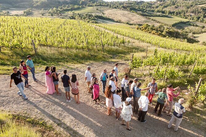 Vino Nobile di Montepulciano Wine Tour - Meet the producers - Exploring the Montepulciano Wine Tour in Detail