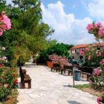 Vino Venture: Explore With A Local - Troodos Mountains thru Wine! - Comfort and Convenience