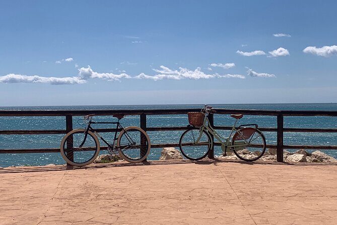 Vintage Style Bike Rental in Malaga - Final Thoughts