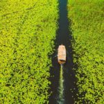 Virpazar: Guided Skadar Lake Boat Tour to Kom Monastery - Practical Details and What You Need to Know