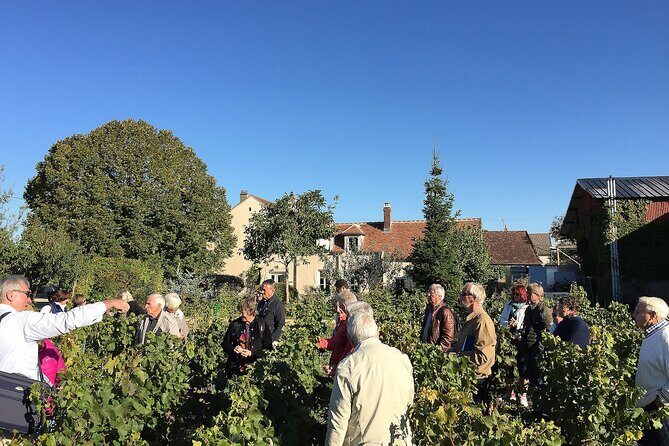 Visit and Chablis wine tasting at Domaine Clotilde Davenne in English - Who Should Consider This Tour?