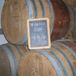 Visit and tasting of 3 D.O.C.wines Fontechiara - The Experience: Why It Resonates