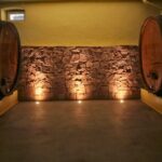 Visit and tasting of wines and cheese and charcuterie platter - Analyzing the Value