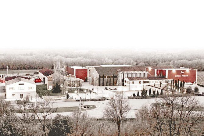 Visit and wine tasting at BODEGA PIRINEOS - What Reviewers Love About Bodega Pirineos