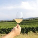 Visit and wine tasting at Tenuta La Cà - The Itinerary in Detail