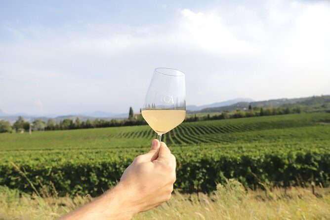 Visit and wine tasting at Tenuta La Cà - The Itinerary in Detail