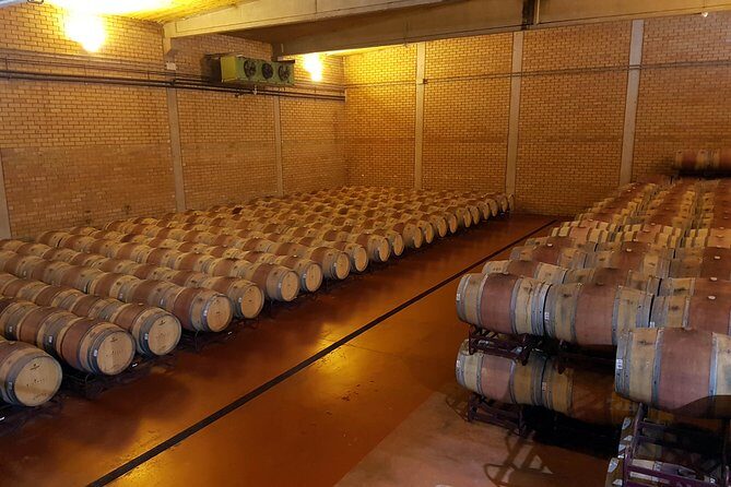 Visit and wine tasting with sausage and BODEGA PIRINEOS cheese - The Itinerary Breakdown