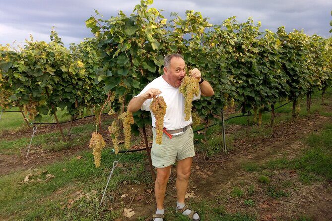 Visit of the Winemaker with Tasting of Typical Products in Faenza - Practical Details and Tips