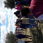 Visit olive grove centenary with oil tasting course - Final Thoughts