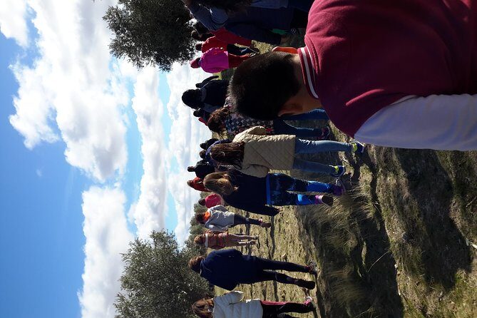 Visit olive grove centenary with oil tasting course - Final Thoughts