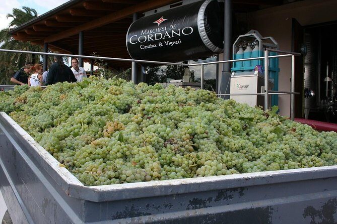 Visit the Marchesi de Cordano winery and taste its wines - The Value of This Experience