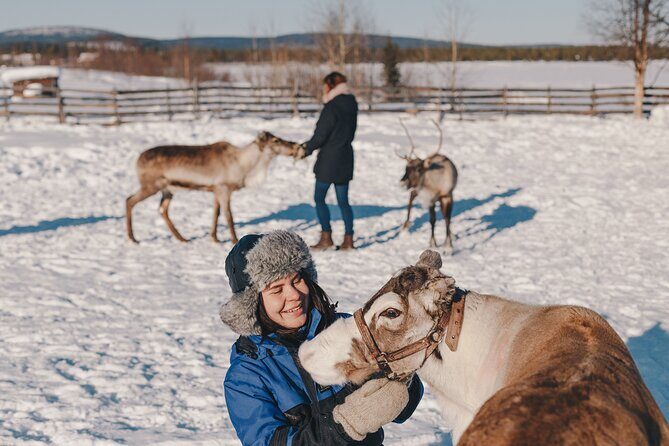 Visit the Sami and Reindeer in a Day Trip from Abisko - Is This Tour Right for You?