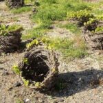 Visit to a Wine Museum and Wine Tasting in Santorini - Who Should Consider This Tour?