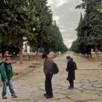 Visit to Italica Roman Ruins Tour tickets included - The Value of Guided Learning