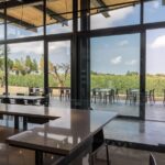 Visit to the cellar and tasting - Final Thoughts: Is It Worth It?