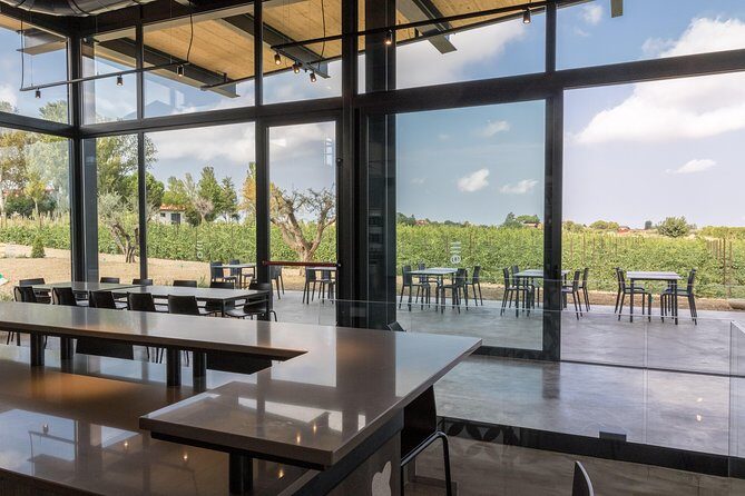 Visit to the cellar and tasting - Final Thoughts: Is It Worth It?