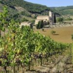 Visit to the Cellar with Wine & Food Tasting over the Val d'Orcia - Who Should Consider This Tour?
