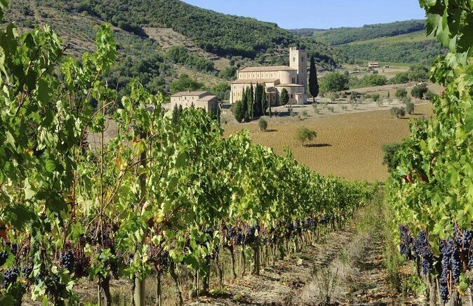 Visit to the Cellar with Wine & Food Tasting over the Val d'Orcia - Who Should Consider This Tour?