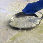 Visit to the dairy - Who Will Love This Experience?