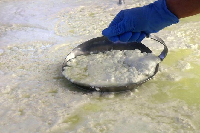 Visit to the dairy - Who Will Love This Experience?