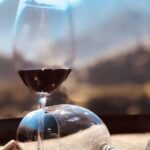 Visiting local Vineyard With Wine Tasting & Lunch included - Evaluating the Value