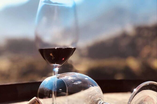 Visiting local Vineyard With Wine Tasting & Lunch included - Evaluating the Value