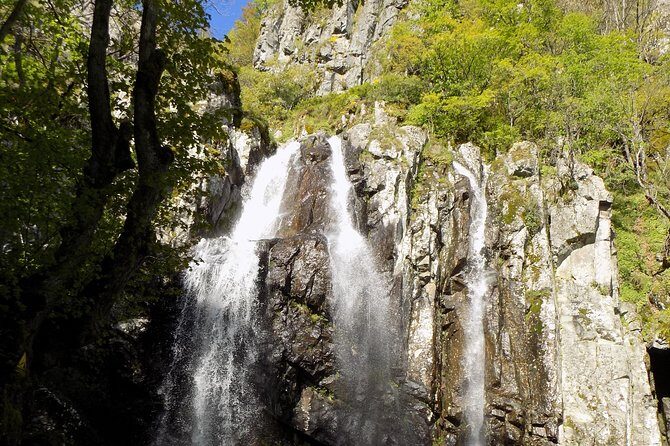 Vitosha hiking tour - What Makes This Tour Stand Out