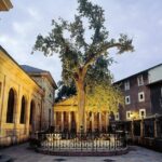 Vizcaya Bridge, San Juan De Gaztelugatxe, Bermeo & Gernika - What Do Reviewers Say?