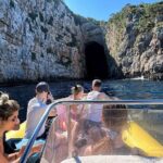 Vlore Speedboat Tour to Haxhi Ali Cave - The Value in This Tour