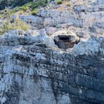 Vlore Speedboat Tour to National Marine Park Sazan-Karaburun - In-Depth Review of the Vlore Speedboat Tour