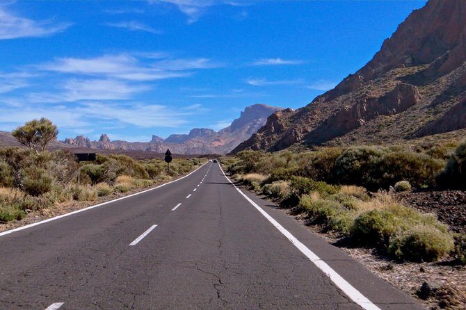 Volcano & Mt Teide Private Tour in Tenerife - Who Is This Tour Best For?