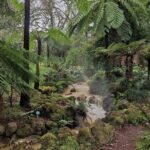 Volcano of Fogo and Furnas Private Tour - Who Should Consider This Tour?