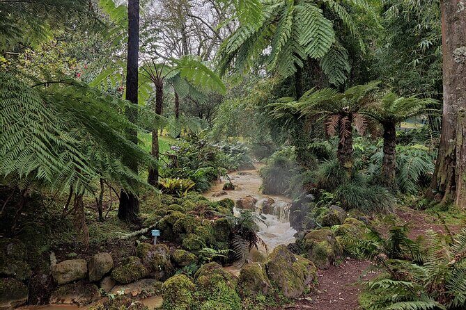 Volcano of Fogo and Furnas Private Tour - Who Should Consider This Tour?