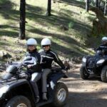 Volcano Quad Trip in Tenerife - Final Thoughts: Who Is This Tour Best For?