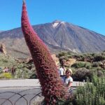 Volcano Teide - Masca ravine. Guided Tour from Puerto de la Cruz - Tenerife - Who Is This Tour Best For?