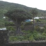 Volcano Teide National Park And North Of The Island VIP TOUR - The Transportation and Group Size