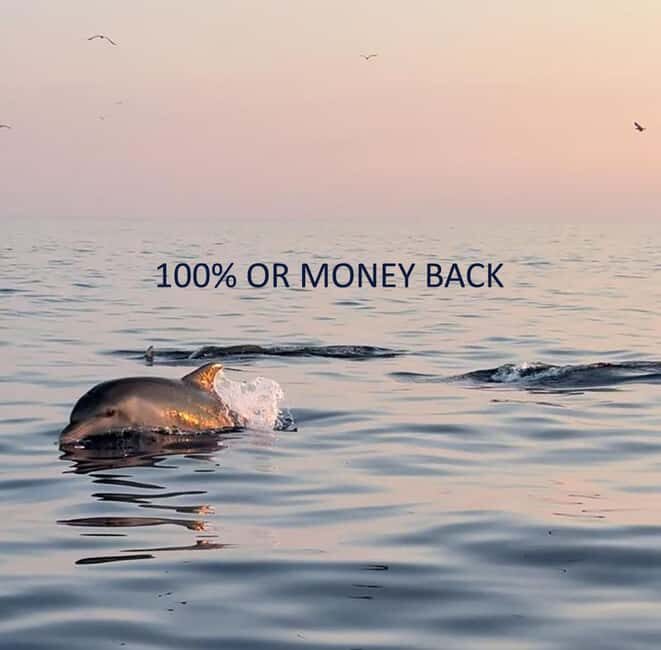 Vrsar: Dolphin-Watching Sunset Adventure with Speedboat - The Practicalities: Pricing, Group Size, and Booking