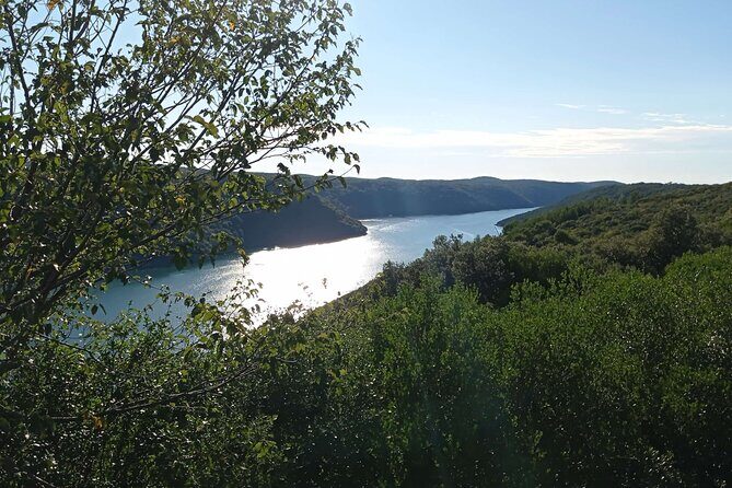 Vrsar, Lim Fjord and Rovinj Day Tour by Boat with Drinks - Practical Details: What You Need to Know