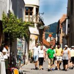 Wachau Valley Private Tour With Melk Abbey Visit and Wine Tastings from Vienna - Who Should Book This Tour?